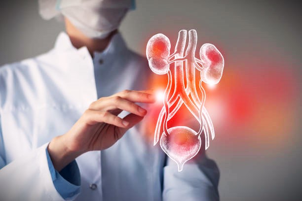 Best Andrologist Doctor in Indore